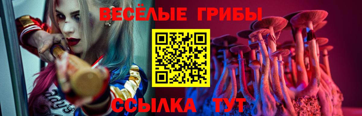 Галлюциногенные грибы прущие грибы Качканар