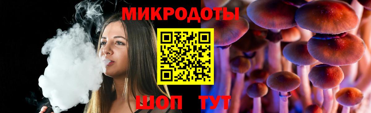 Качканар  Галлюциногенные грибы Psilocybe  Вход с VPN 
